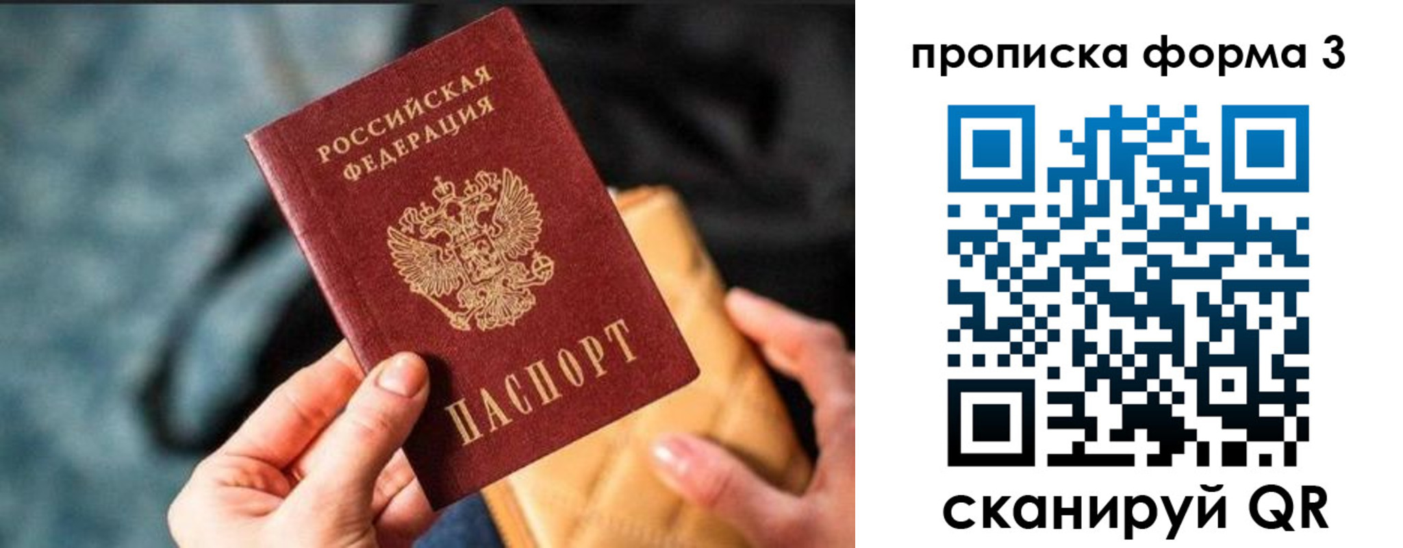 прописка гарантия в Мурманской области